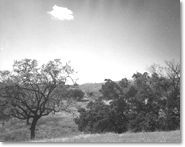 Agoura, 1950s
