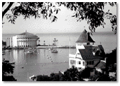 Casino, Avalon Bay, and the Holly Hill House, 1980