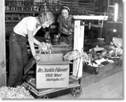 Packing a box with Catalina pottery to be sent to Mrs. Franklin D. Roosevelt, mid-1930s