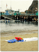 Wharf in Avalon Bay, 2000