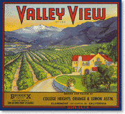 Citrus crate label for the Valley View Brand of the College Heights Orange and Lemon Association of Claremont, c. 1930