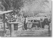 Sheep shearing on Rancho Los Alamitos, 1870
