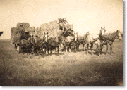 Hay wagon at the Grazide Ranch in La Puente Valley, early 1900s