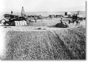 Threshing in La Puente Valley, 1898