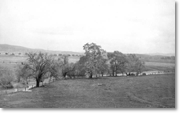 San Jose Creek, c. 1930s