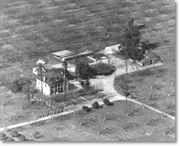 Rowland house, grounds, and surrounding groves, c. 1920s