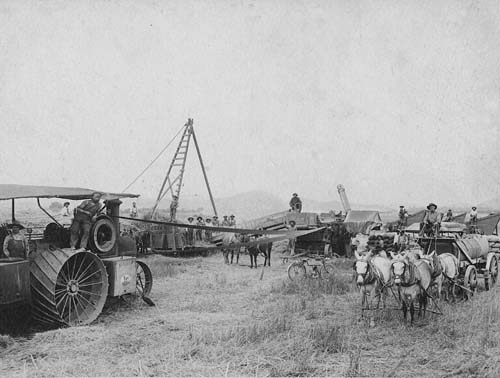 Farm workers and a threshing machine, San Fernando Valley, c. 1912