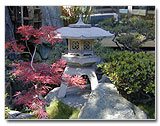 Garden Lantern