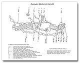 Map of Garden