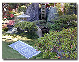Garden Perspective