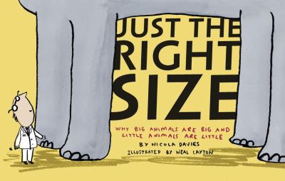 book jacket