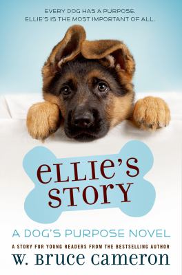 book jacket