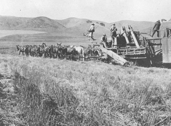Lewis Ranch