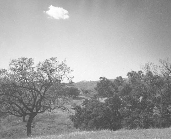 Agoura, 1950s