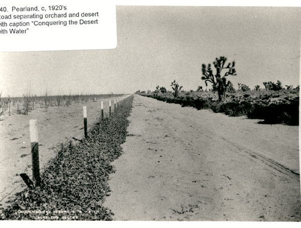 An Antelope Valley road separating an orchard and the desert