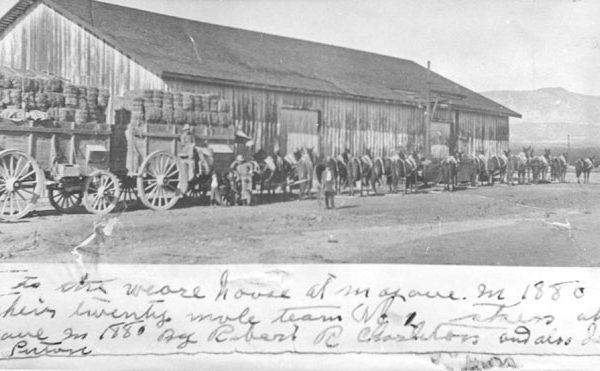 Twenty Mule Team loaded with hay at the John Searles' San Bernardino Borax Company warehouse in Mojave