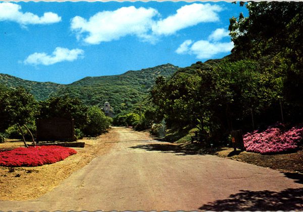 Botanical Gardens in Avalon Canyon, 1974