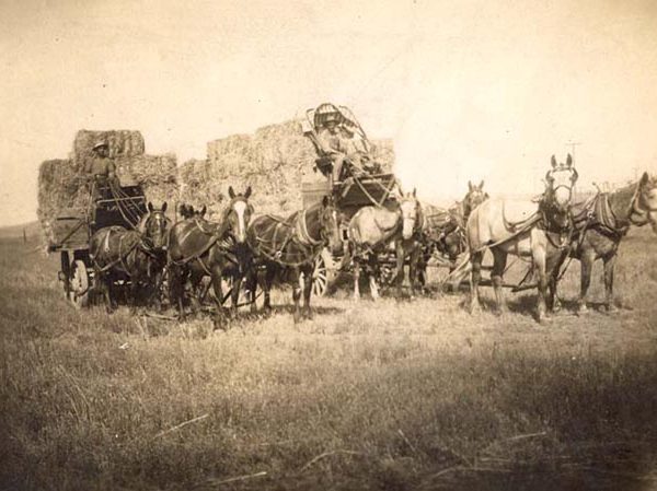 Hay wagon at the Grazide Ranch in La Puente Valley, early 1900s