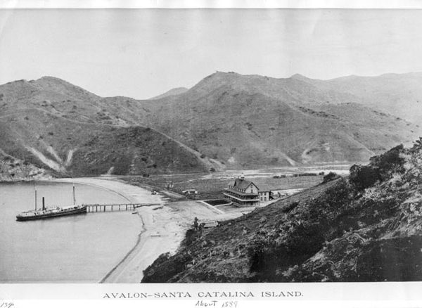 Steamer at the dock in Avalon Bay and the Hotel Metropole in Avalon,
