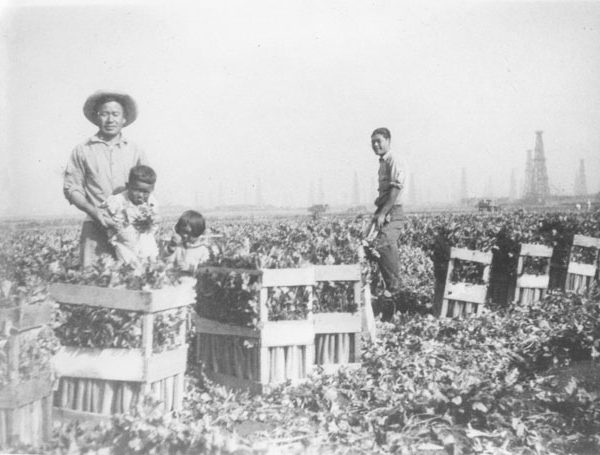 Japanese farm workers and children with the crop in Lomita