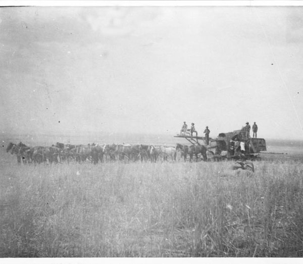 First combine in the Antelope Valley on the Godde-Stratman Ranch, early 1900s