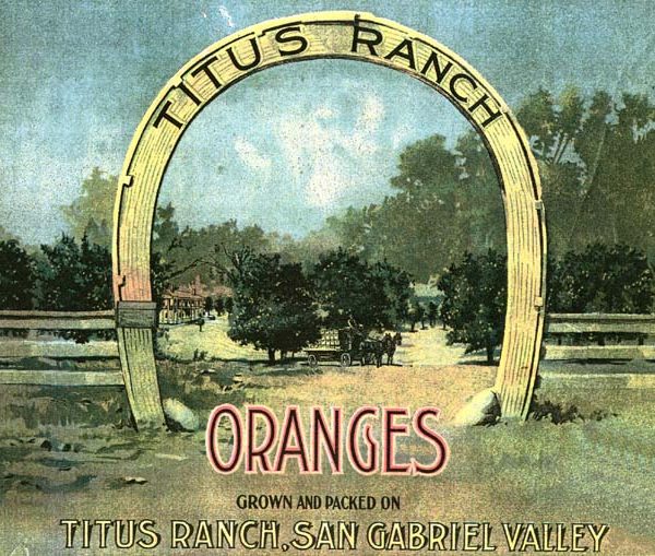 Citrus crate label